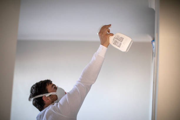 Best Residential Mold Removal  in Burlington, NC