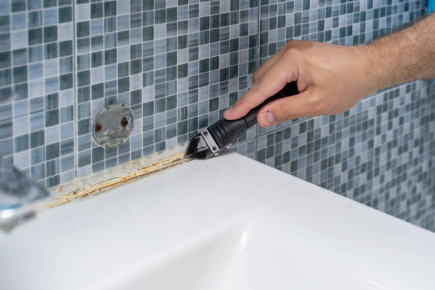 Best Emergency Mold Removal  in Burlington, NC